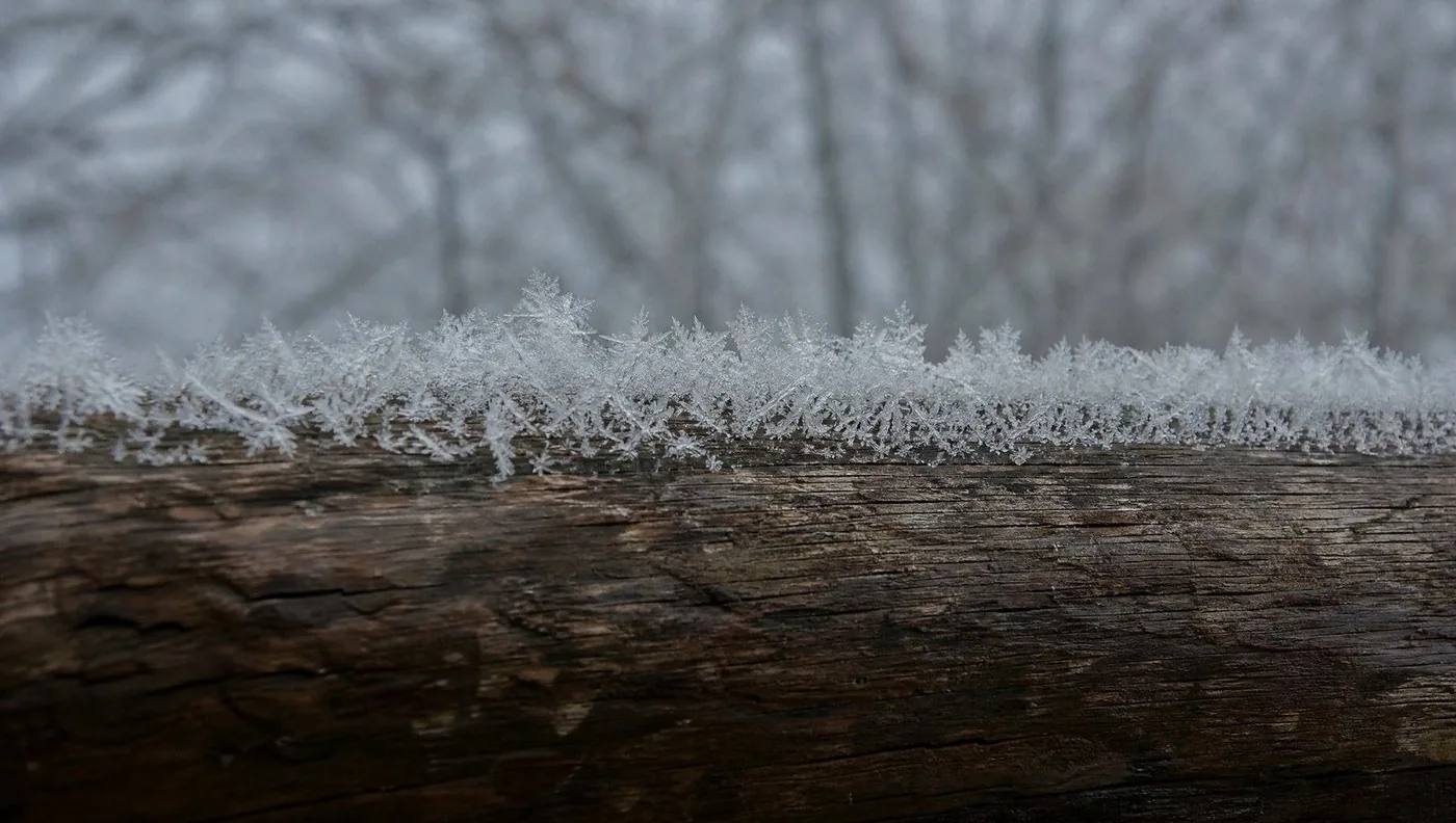Frost on a stone balustrade and a rime of ice along an iron rail, photographed on a February morning in the Ammergau.